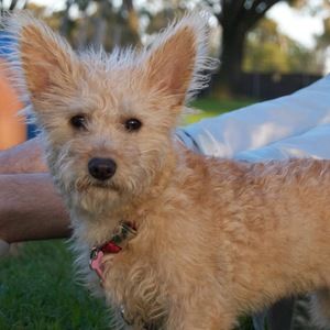 Meet your Posher, Natalie